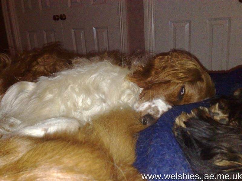 2010-11-01 01.jpg - TV in bed - lovely!